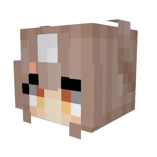 RIOT1969 Minecraft avatar head, 3D render