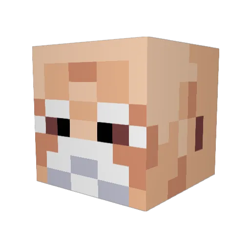 RIOTI3833 Minecraft avatar head, 3D render
