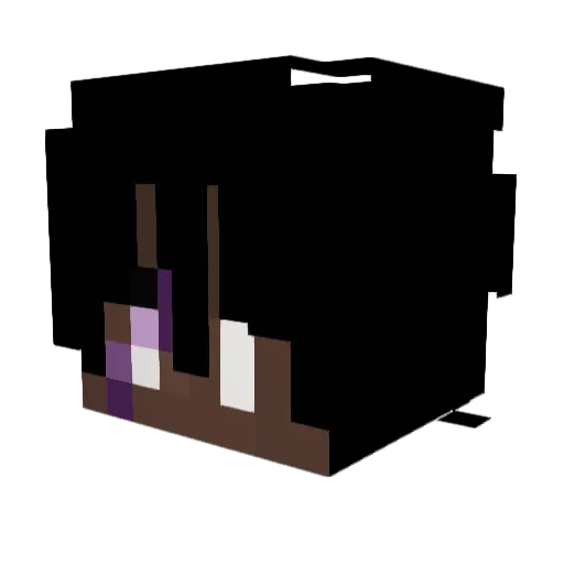 RIOTNyx Minecraft avatar head, 3D render