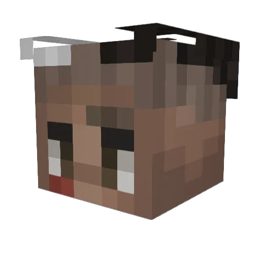 RIPExtasioo_ Minecraft avatar head, 3D render