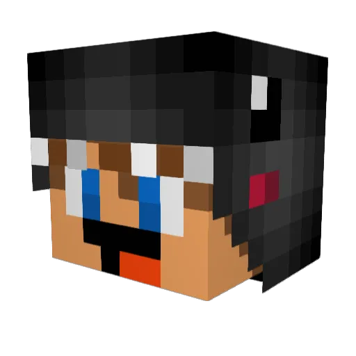 RIP_Hedwig_RIP Minecraft avatar head, 3D render