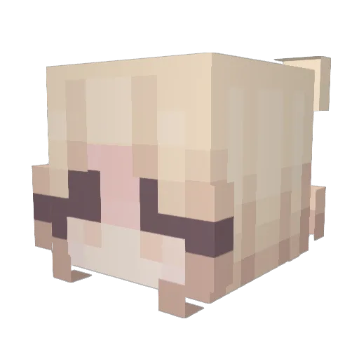 RIPtoMySFA Minecraft avatar head, 3D render