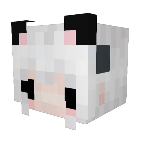 RIRIVERA Minecraft avatar head, 3D render