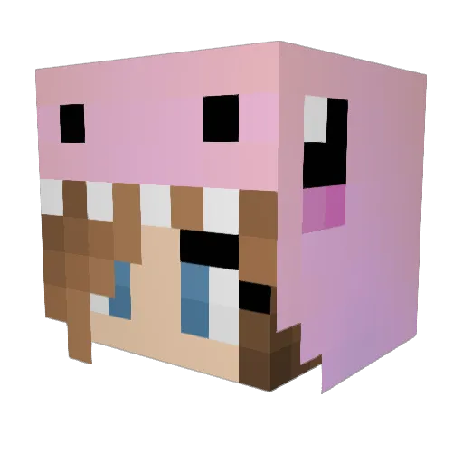 RISA1233456 Minecraft avatar head, 3D render