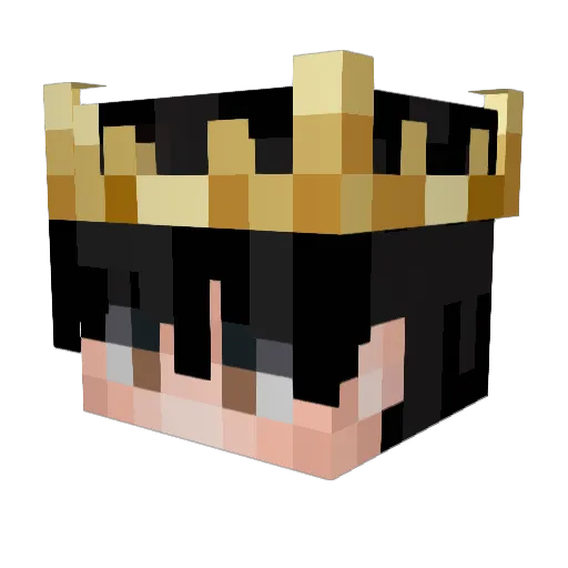 RISEKIIING Minecraft avatar head, 3D render