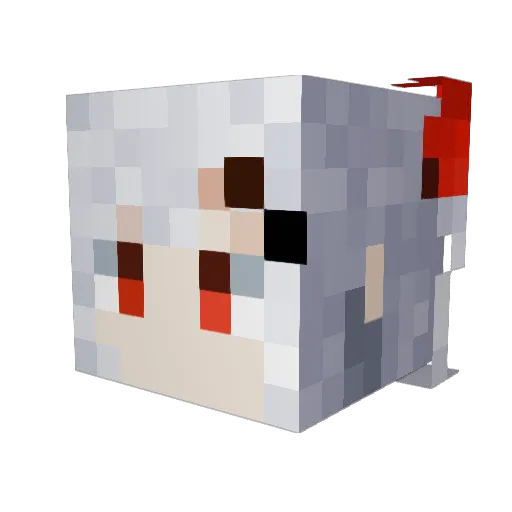 RISEtowa4673 Minecraft avatar head, 3D render