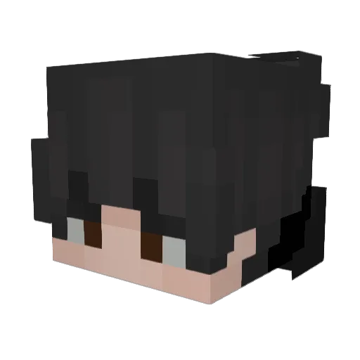 RISHI4R Minecraft avatar head, 3D render