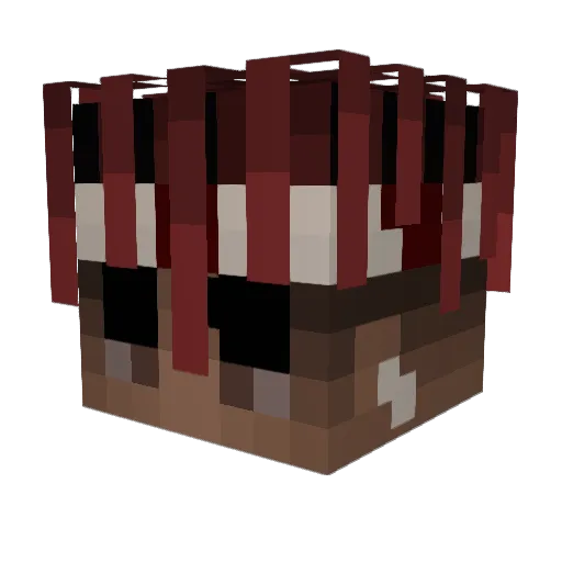 RISQY666 Minecraft avatar head, 3D render