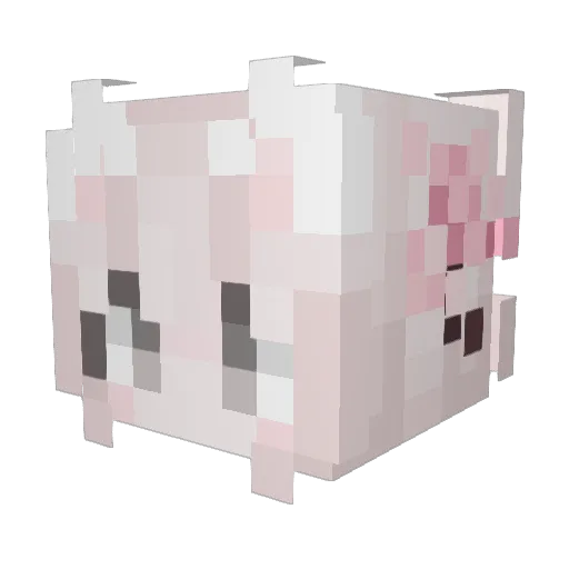 RIVERS_19 Minecraft avatar head, 3D render