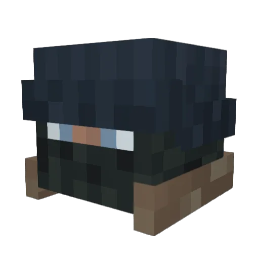 RIX238 Minecraft avatar head, 3D render