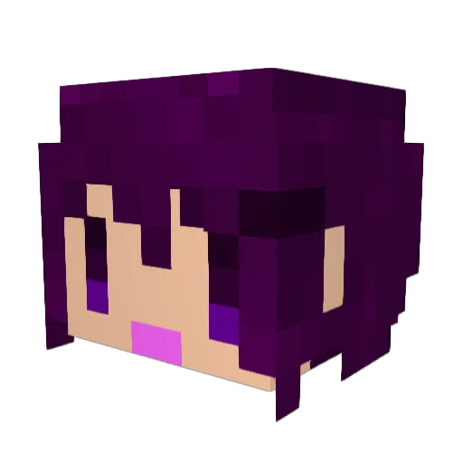 RIZE0711 Minecraft avatar head, 3D render