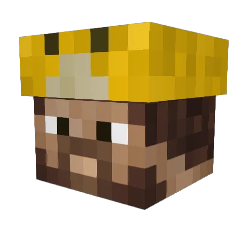 RIZZA365 Minecraft avatar head, 3D render