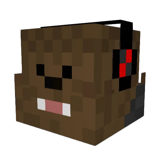 RJ13_ Minecraft avatar head, 3D render