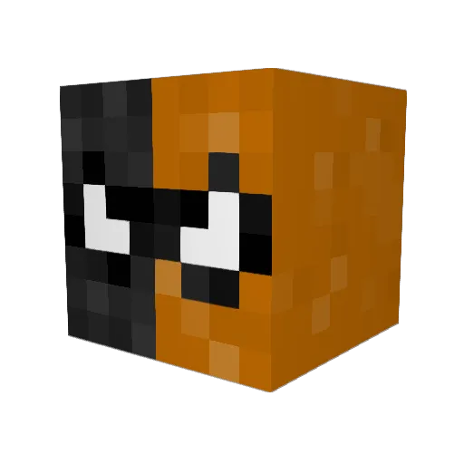 RJ2175 Minecraft avatar head, 3D render
