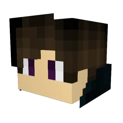 RJ45_HP Minecraft avatar head, 3D render