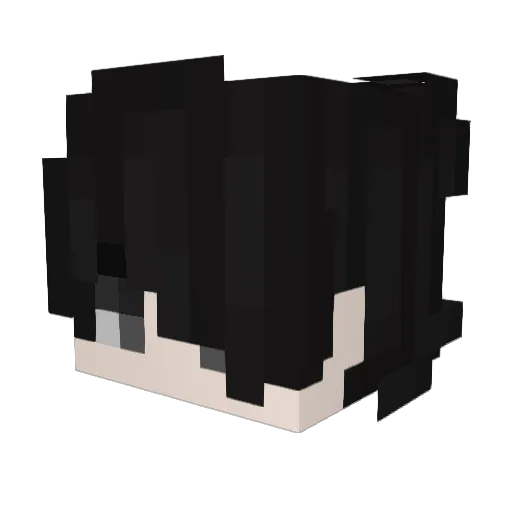 RJET490 Minecraft avatar head, 3D render