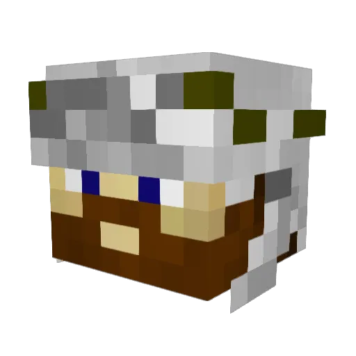 RJMlimited Minecraft avatar head, 3D render