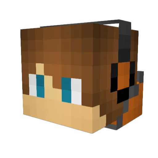 RJN_1 Minecraft avatar head, 3D render