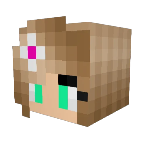 RJR77 Minecraft avatar head, 3D render