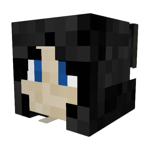 RJTheGamer711 Minecraft avatar head, 3D render