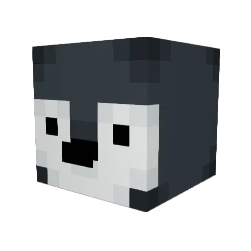 RJWinter Minecraft avatar head, 3D render
