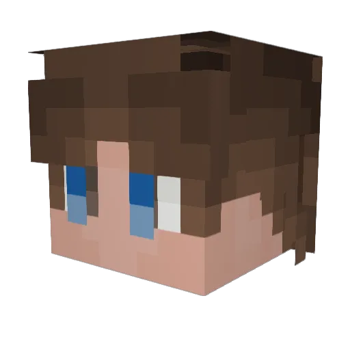 RJX23 Minecraft avatar head, 3D render