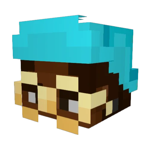 RJ_Magic_ Minecraft avatar head, 3D render