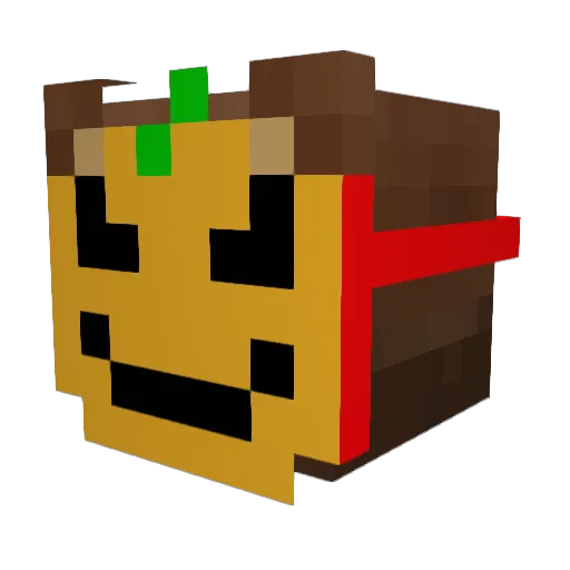 RJ_Thomas Minecraft avatar head, 3D render