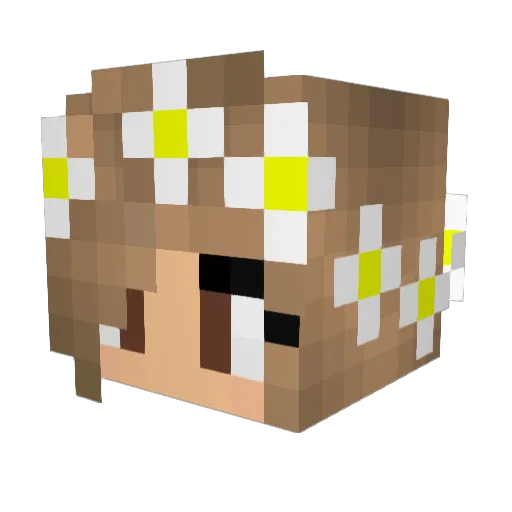 RK241 Minecraft avatar head, 3D render