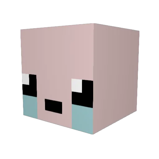 RKDragon25 Minecraft avatar head, 3D render