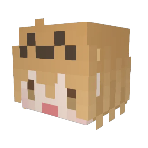 RKF50 Minecraft avatar head, 3D render