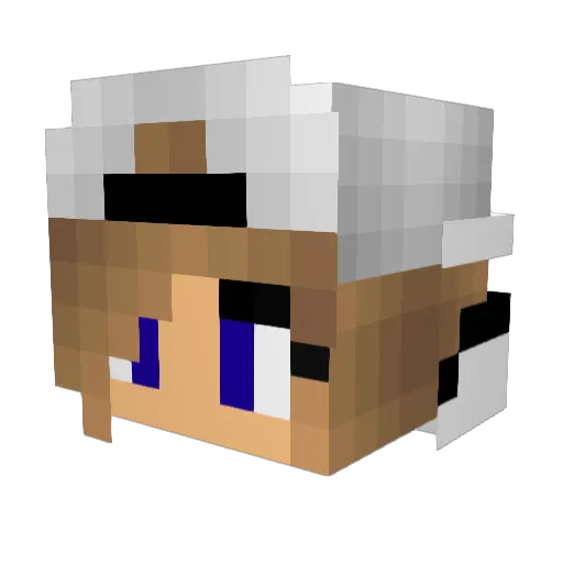 RKL2006 Minecraft avatar head, 3D render