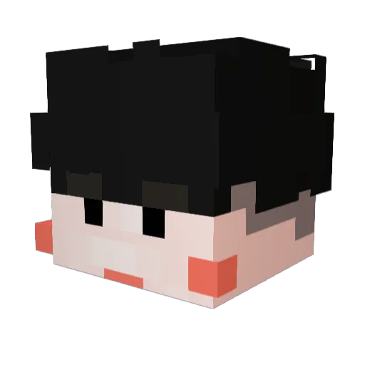 RKTIGER Minecraft avatar head, 3D render