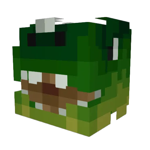 RKraz317 Minecraft avatar head, 3D render