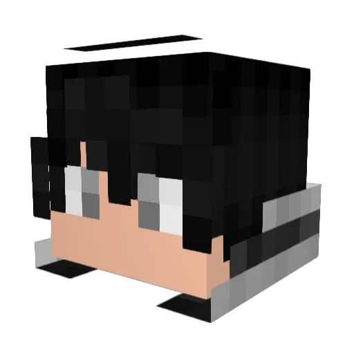 RLBadWolf Minecraft avatar head, 3D render
