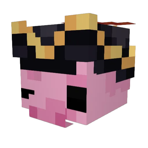RLSpace Minecraft avatar head, 3D render