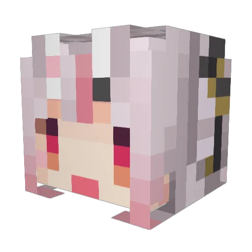 RLeiny Minecraft avatar head, 3D render