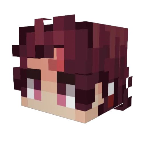 RME20 Minecraft avatar head, 3D render