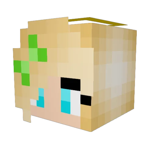 RMET10 Minecraft avatar head, 3D render