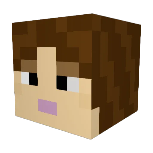 RMP1925 Minecraft avatar head, 3D render