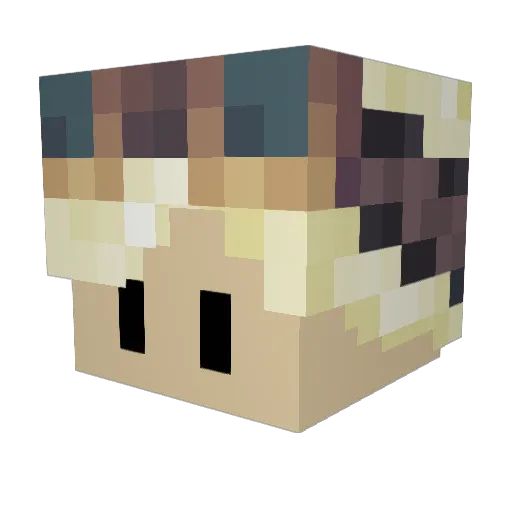 RMS_Cole2 Minecraft avatar head, 3D render