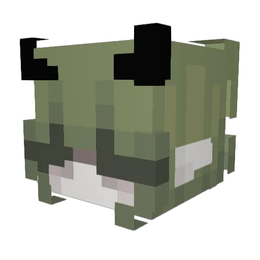 RM_Aquarius Minecraft avatar head, 3D render