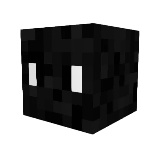 RNFL__ Minecraft avatar head, 3D render