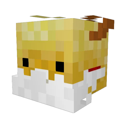 RNGCarried_ Minecraft avatar head, 3D render