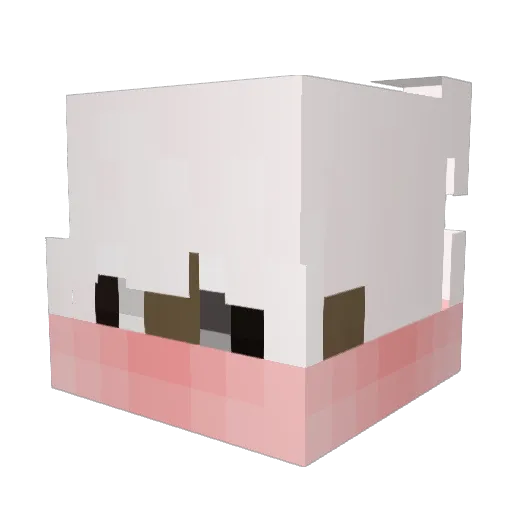RNGLESS Minecraft avatar head, 3D render