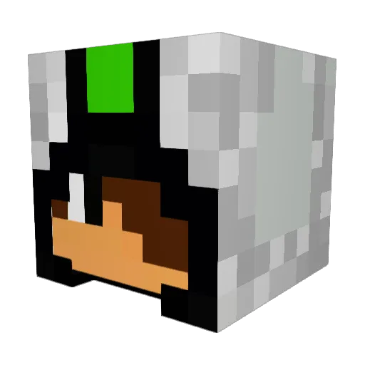 RNGesus1311 Minecraft avatar head, 3D render