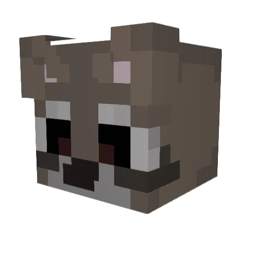 RNGesus7417 Minecraft avatar head, 3D render