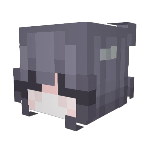 RNMD_ Minecraft avatar head, 3D render