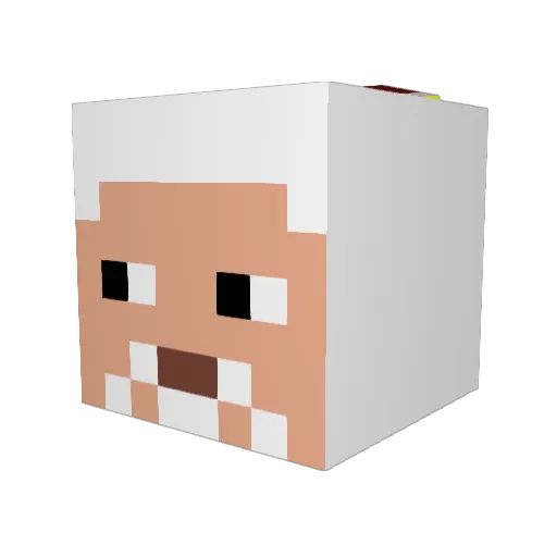 RNijhawan Minecraft avatar head, 3D render