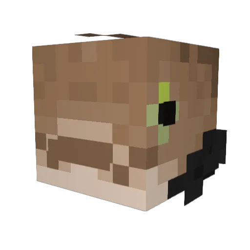 ROASTED_FISH Minecraft avatar head, 3D render